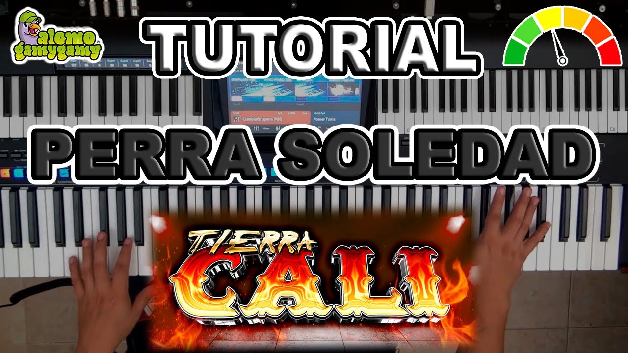 Perra Soledad: Tierra Cali / Tutorial: Figuras y Acordes