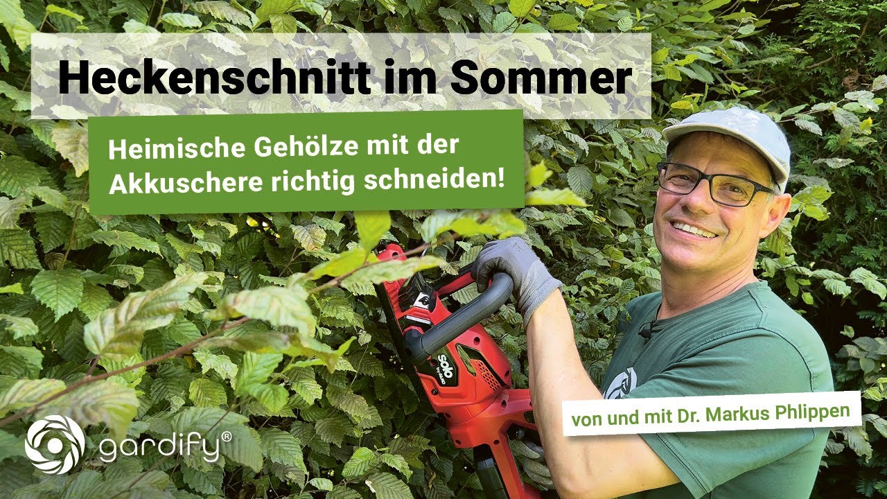 Heckenschneiden leicht gemacht mit der solo® by AL-KO Akku Heckenschere und den Experten von Gardify