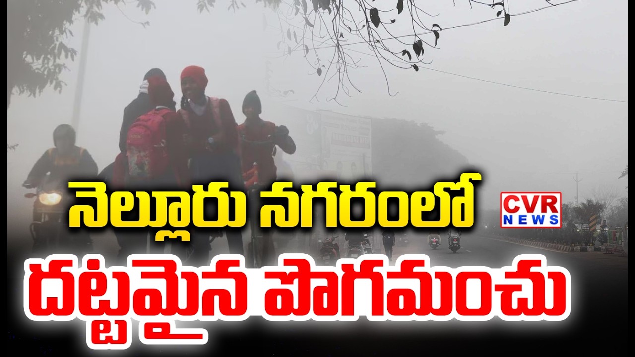 నెల్లూరులో దట్టమైన పొగమంచు || Heavy Fog In Nelloru City || CVR News