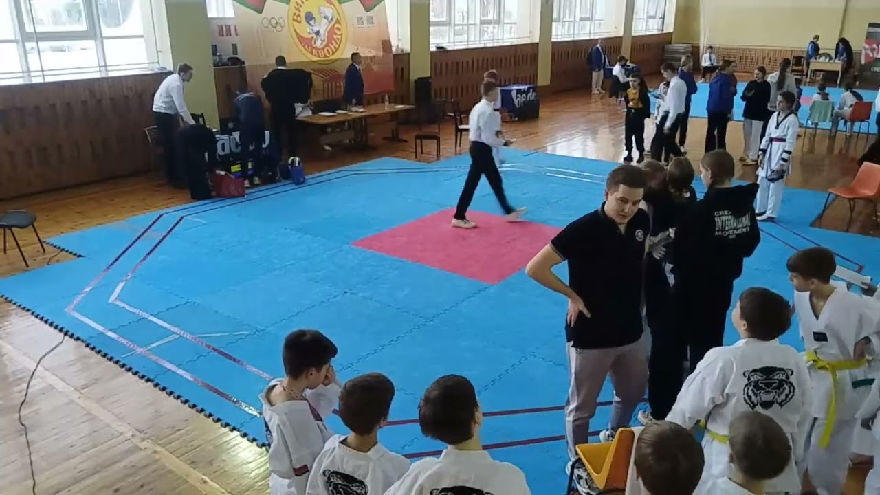 Лучшие моменты трансляции 