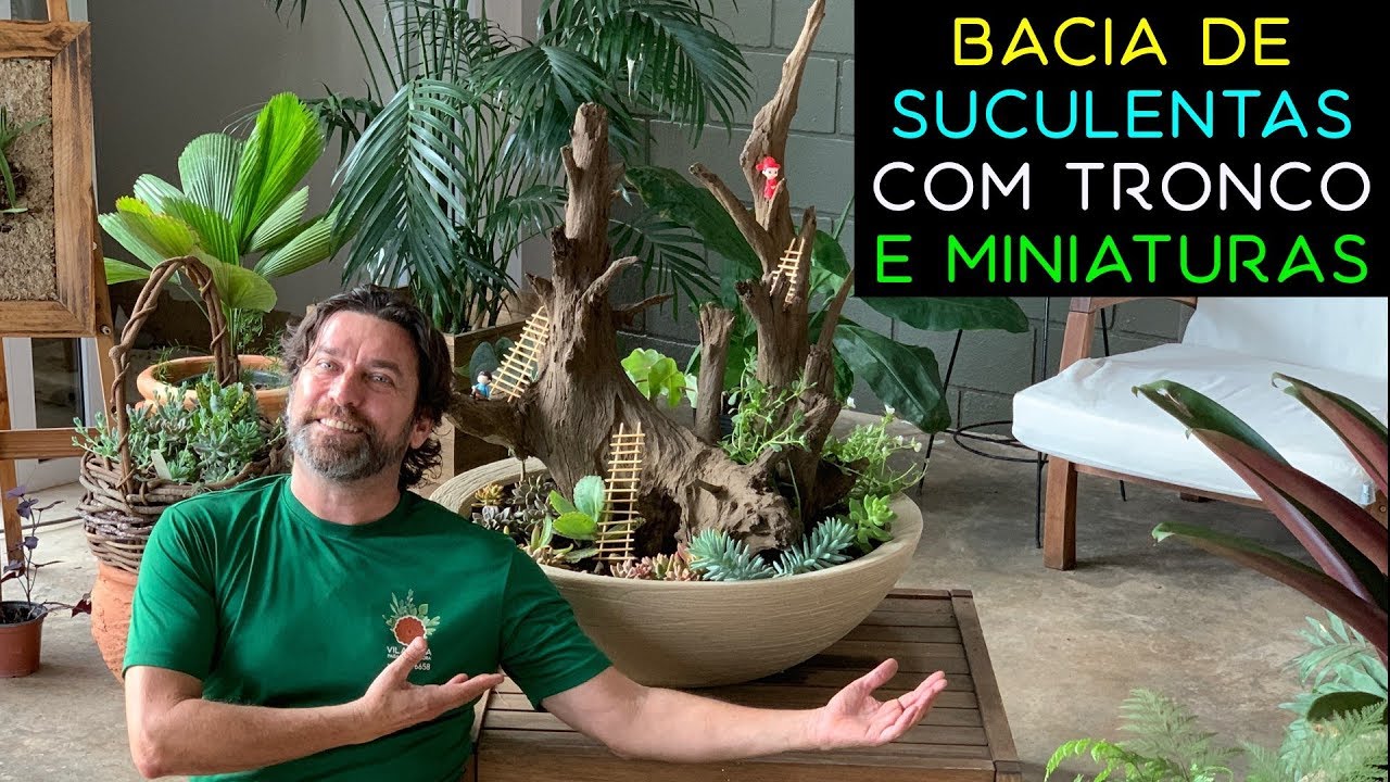 Bacia de Suculentas com Tronco e Miniaturas Passo a Passo