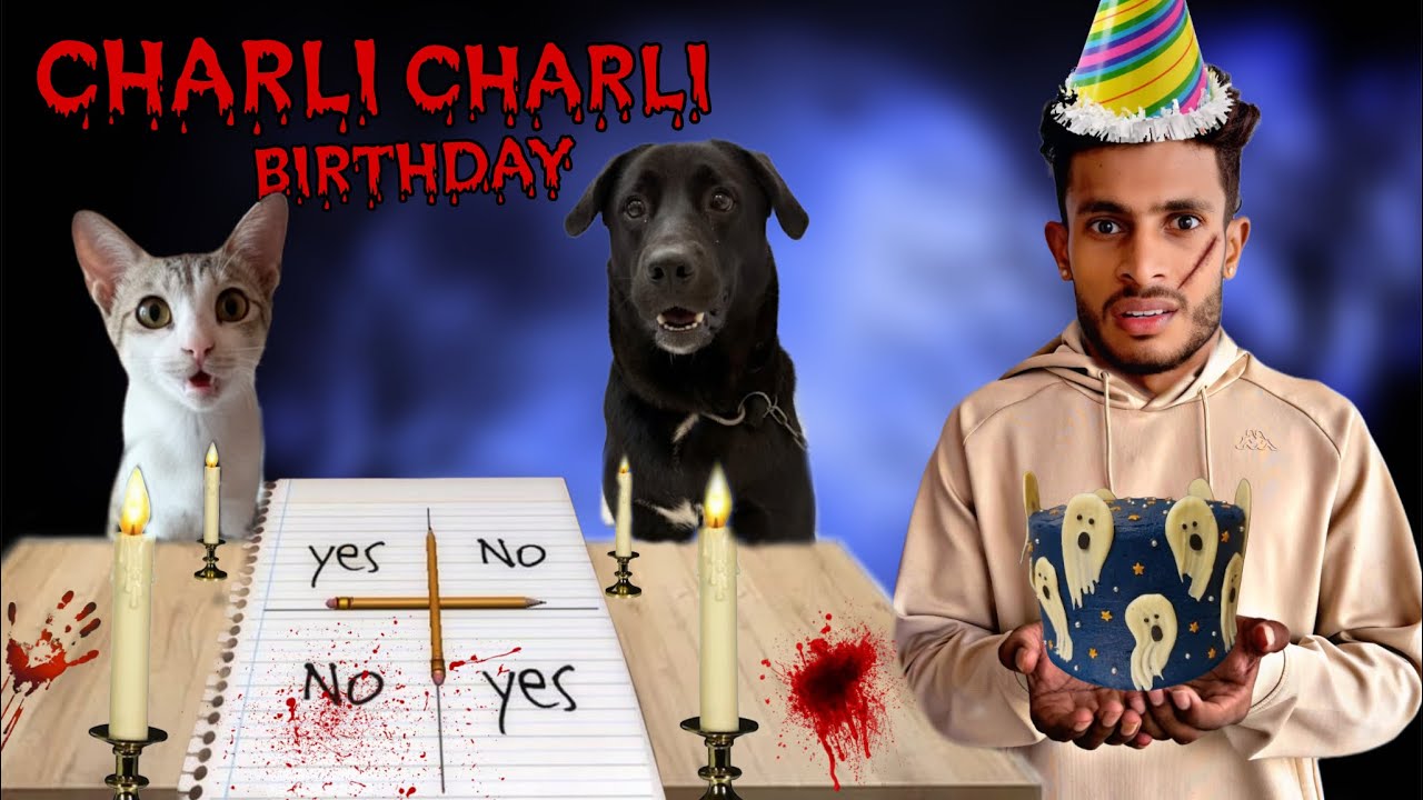 WELY TILLU PLAY CHARLI CHARLI GAME | TODAY CHARLI CHALRI BIRTHDAY #mrdhanno 