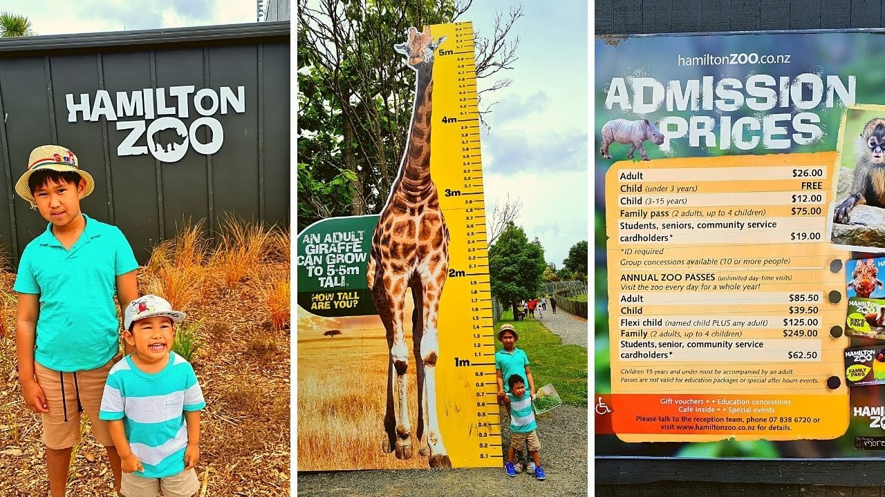 Hamilton Zoo, NZ 2021