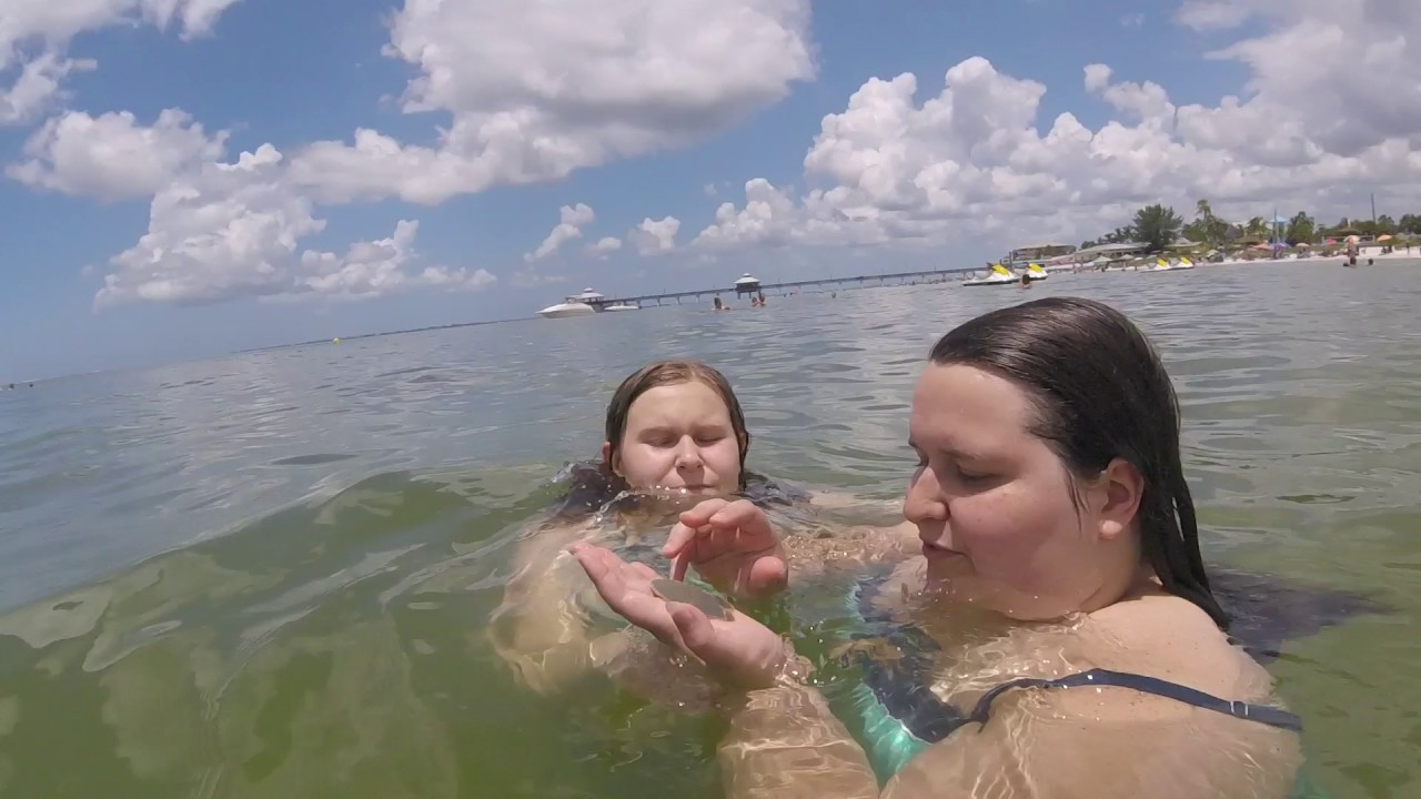 Snorkeling at Ft  Myers Beach
