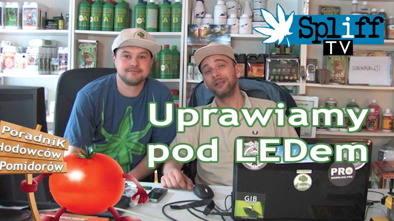 Czy można uprawiać pod LED-em? [Unboxing LED SanLight S4W] #HodowcyPomidor&oacute;w02 - SPLIFF TV