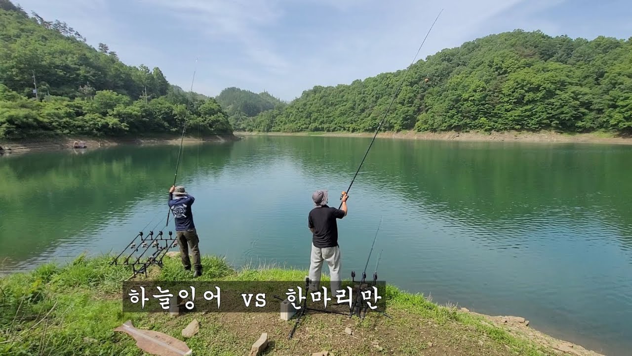 2024 충주호 잉어낚시   