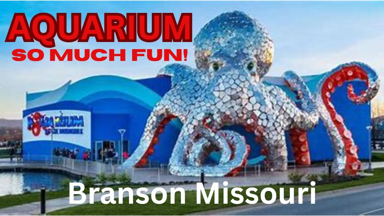 This Aquarium Has Everything: Sharks, Schools of Fish & More