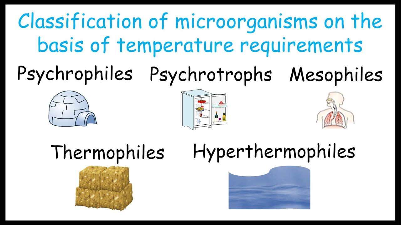 Classification of microorganisms on the basis of temperature requirements |