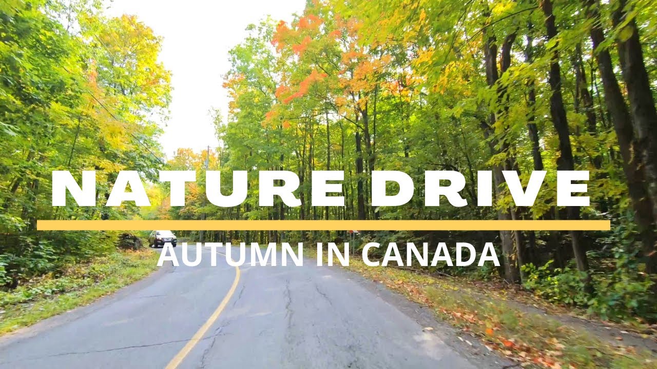 Scenic Drive Video - Beautiful Nature Drive in Canada (Saint-Joseph-du-Lac / Autumn 2020)