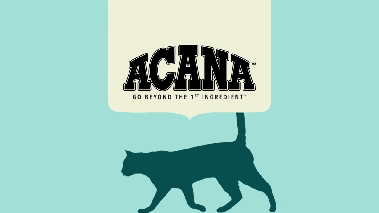 ACANA Cat Food | Protein Rich Recipes Made with Quality Ingredients