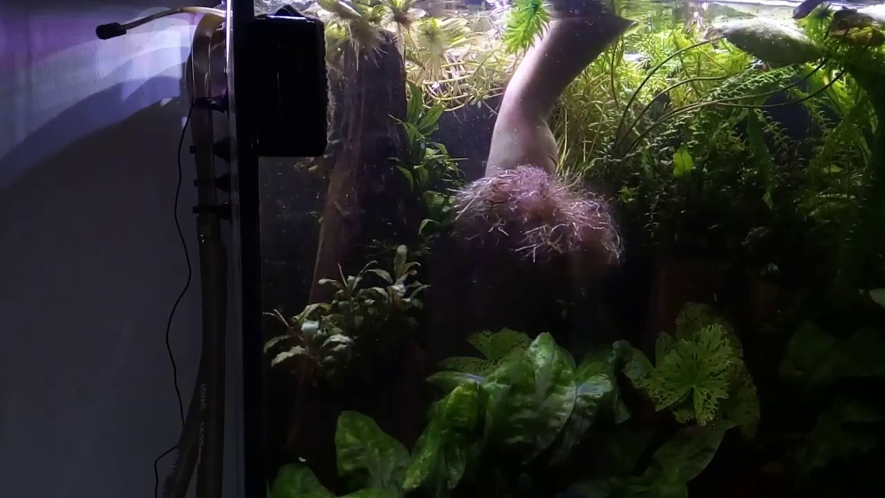 19. Zakładanie akwarium 720l, dzień 13. Koniec mojego akwarium 240l.