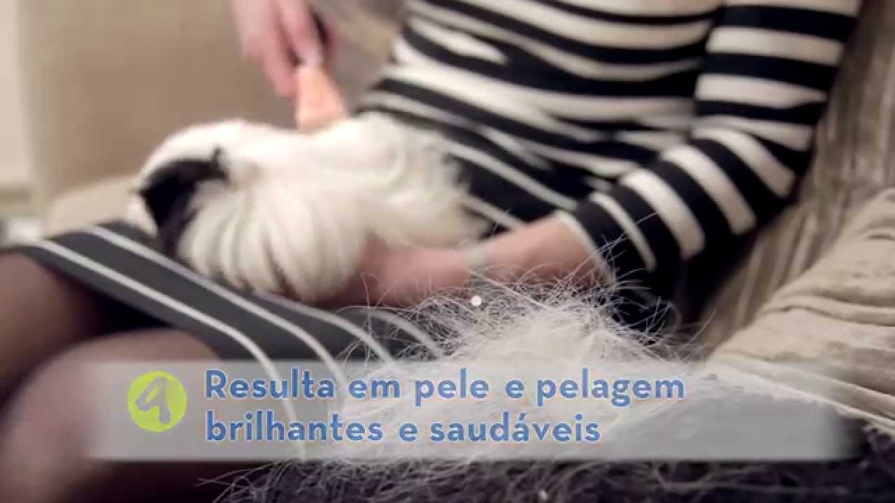Escovas de muda FURminator para pequenos animais