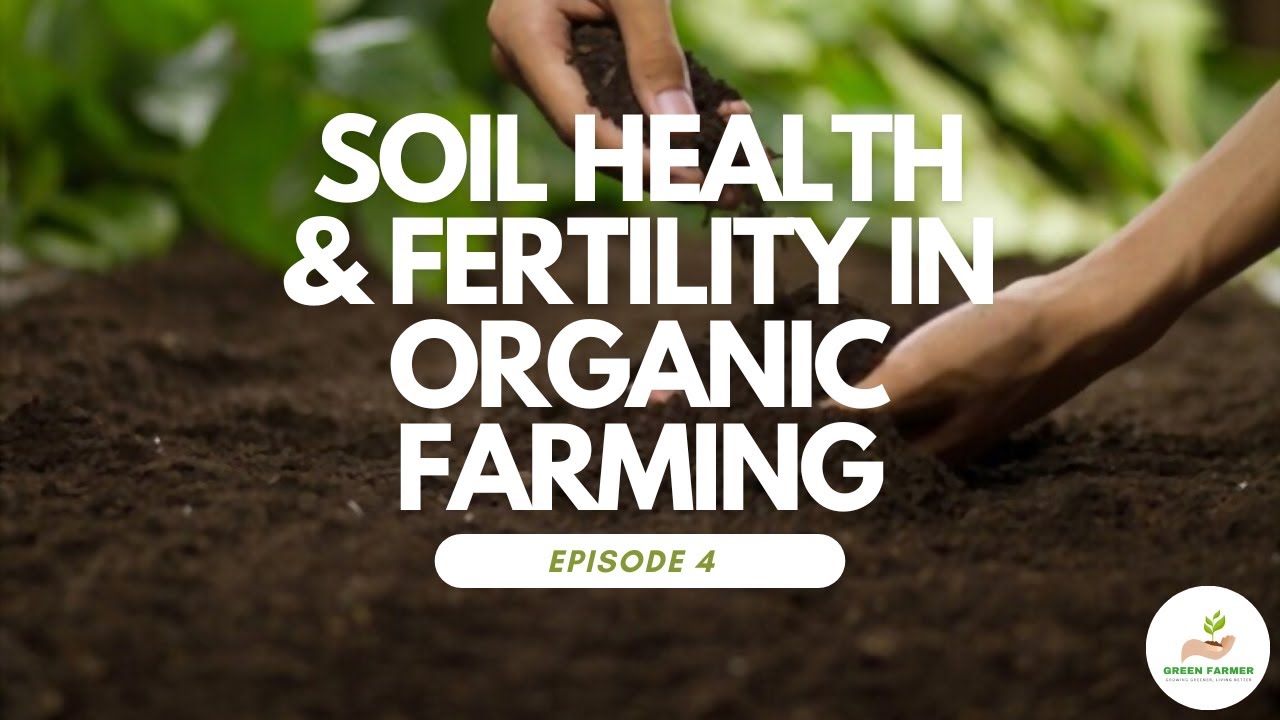 Promoting Soil Health and Fertility in Organic Farming: Essential Practices | Episode 4
