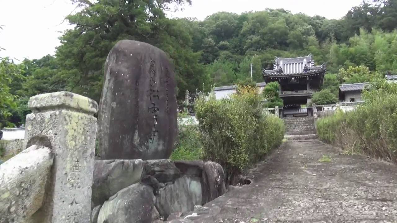 松雲寺　カヤ　（兵庫県上郡町） Shoun-ji(temple) in Kamigori town Hyogo prefecture