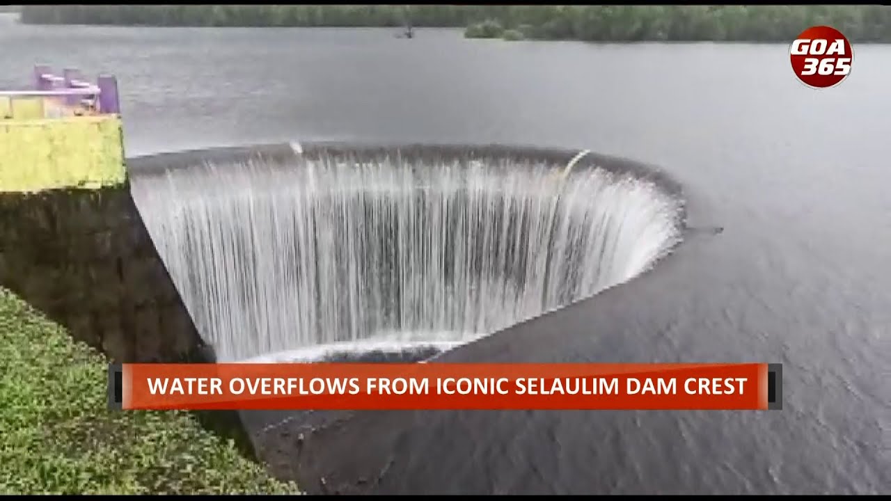 Selaulim dam begins overflowing from iconic &lsquo;duckbill&rsquo; crest: WATCH || ENGLISH || GOA365