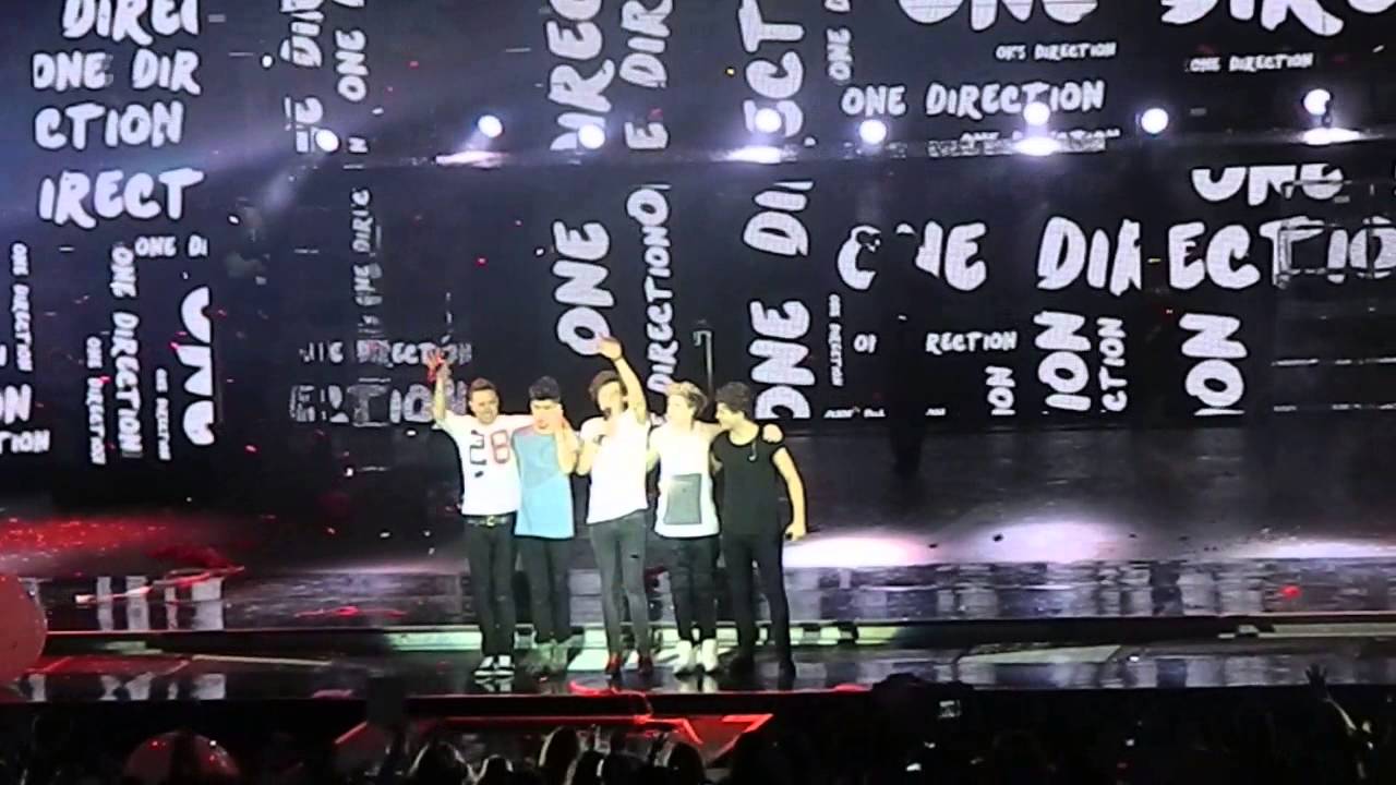 One Direction @ Arena di Verona - What makes you beautiful