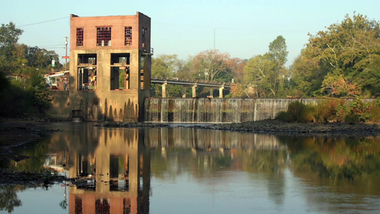 Shad Migration and Dam Removal