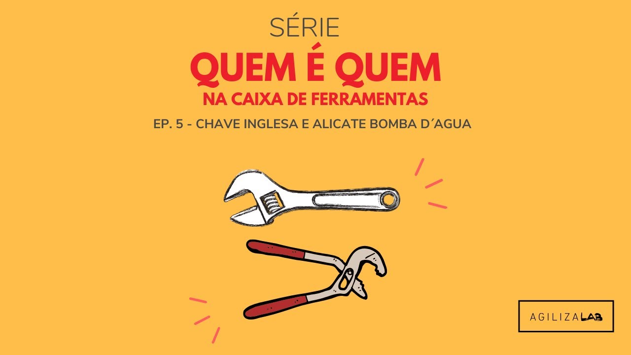 Alicate Bomba d&acute;&Aacute;gua e Chave Inglesa - S&eacute;rie Quem &eacute; Quem | AgilizaLab - Mari Pavan
