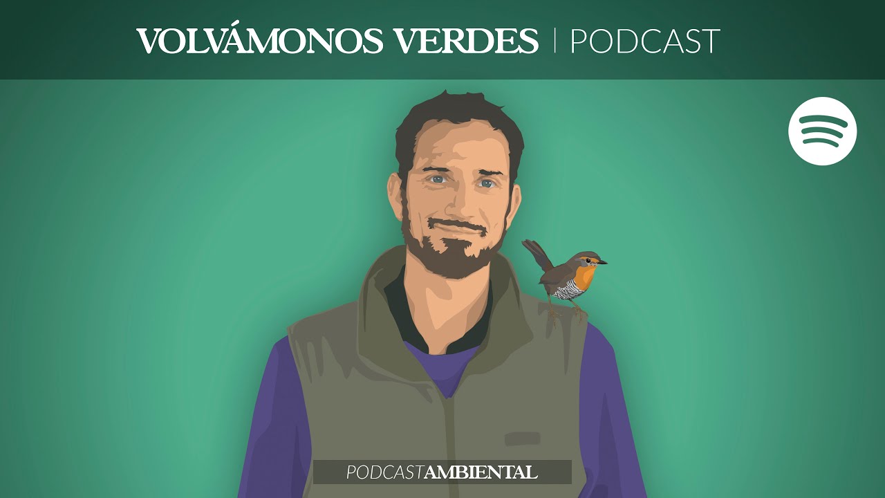 Tomás Ibarra | Ecología de aves de bosques del sur de Chile | 49