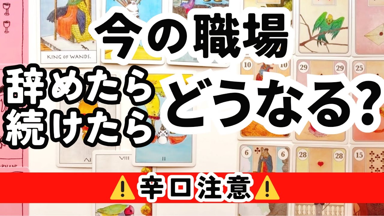 【タロット】今の職場、辞めたらどうなる？続けたらどうなる？をタロットカードとルノルマンカードで占いました🔮　