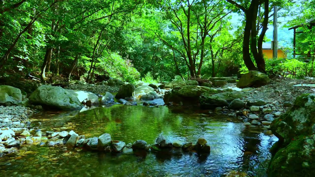 Forest Stream Water Sounds 🌿 ASMR for Deep Sleep | 3 Hours Relaxing Creek Ambience (4K)