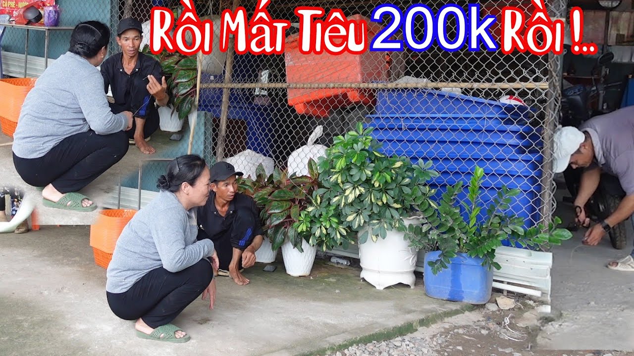 B&agrave; 8 Phong Cột 200k Để C&acirc;u L&ograve;ng Tham 10 R&acirc;u Ai Ngờ Mất Thật
