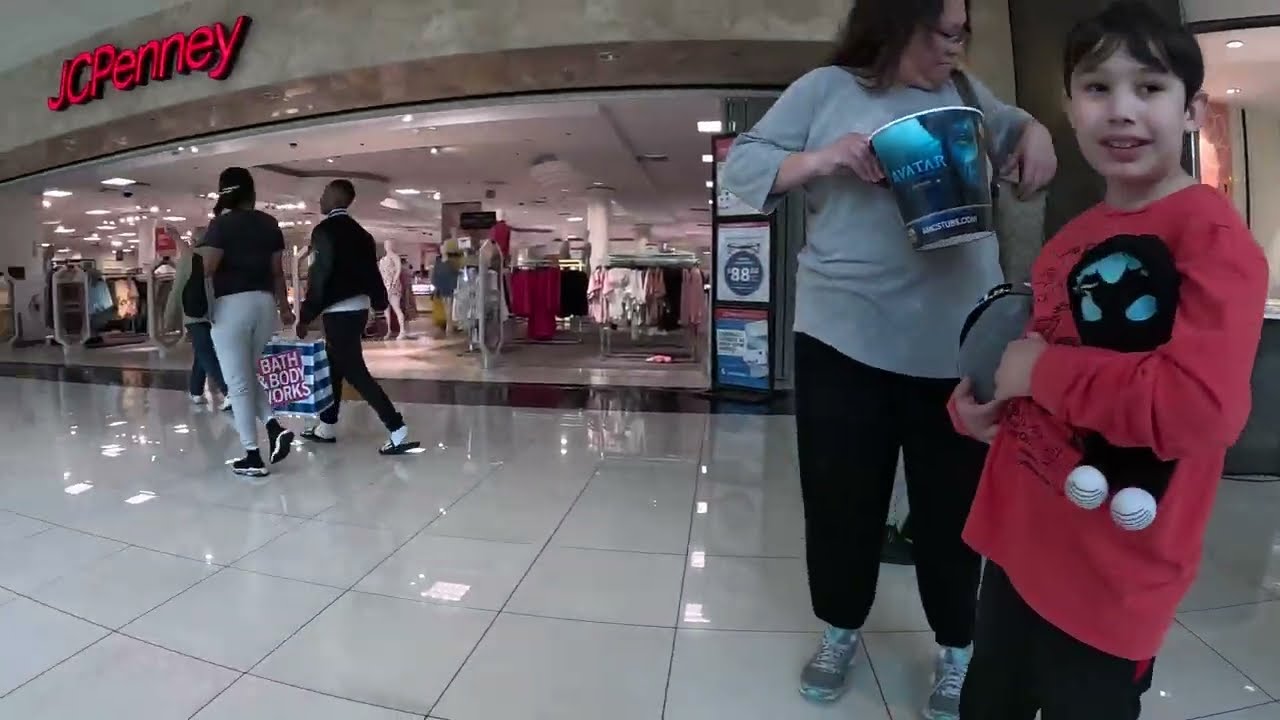 Cash 2.0 Great Dane visits an indoor shopping mall 43