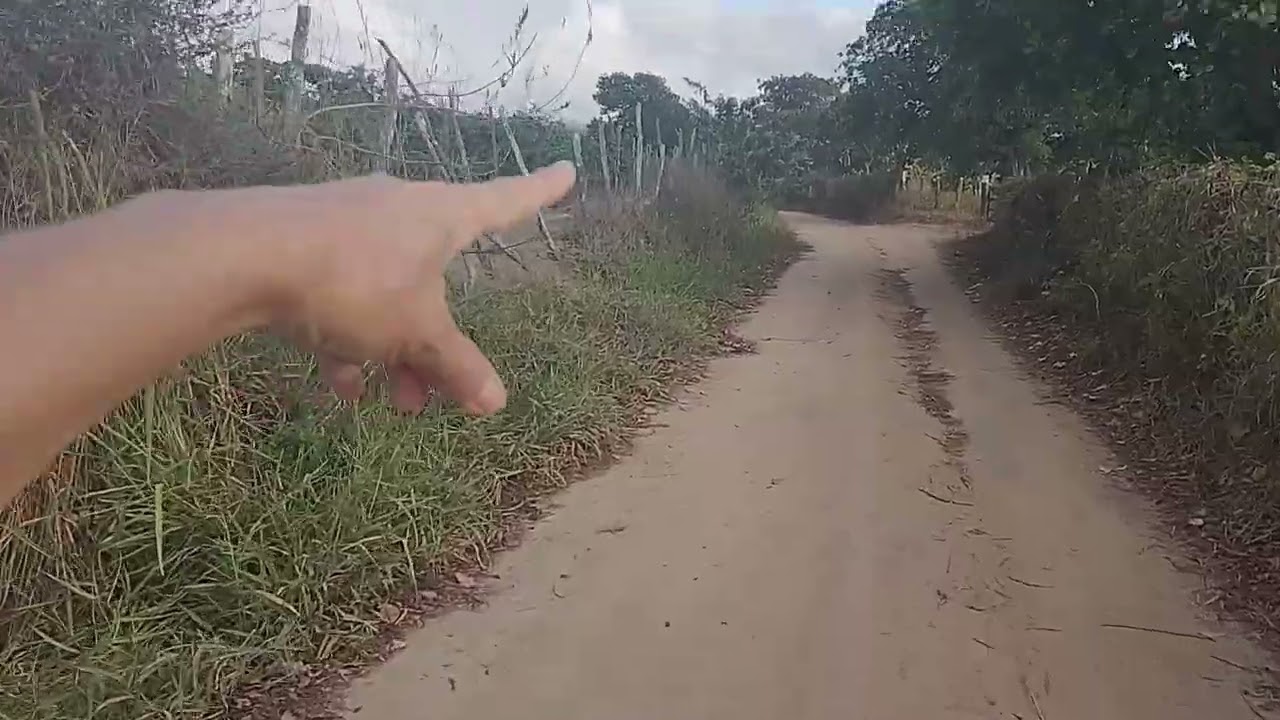 Recordação.