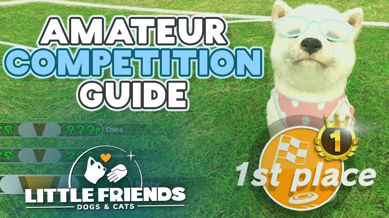 Little Friends: Dogs & Cats - Amateur Competition Guide [1st Place on Day 1!]