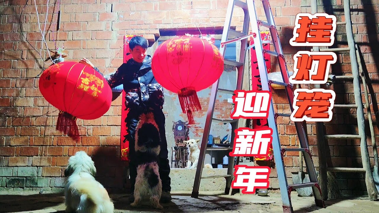 小花狗：要过年咯，挂灯笼迎新年，乡村小院喜洋洋