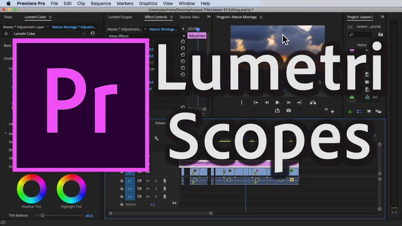 How to Use/Read Lumetri Scopes in Premiere Pro CC 2020