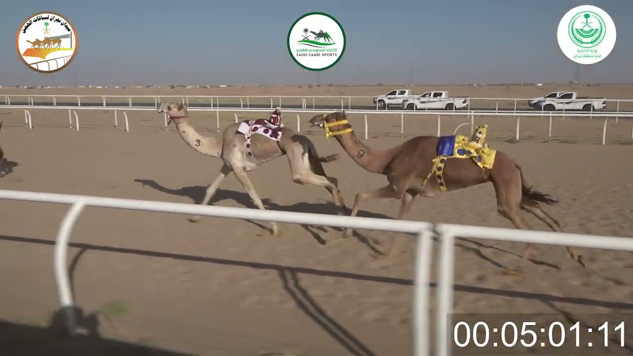 ٦/ بكار جذاع / ٥٠٠٠م/ الجزيره/ مقرن سعيد ال فطيح