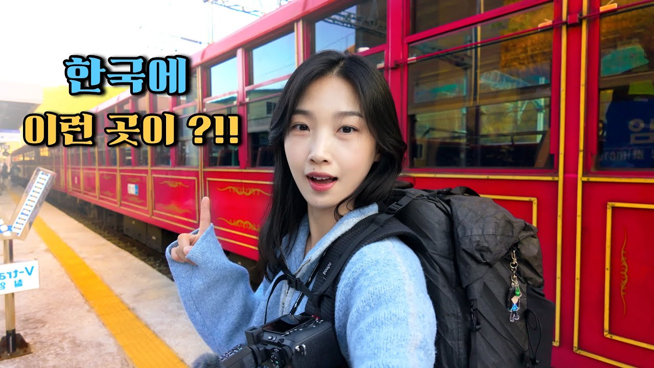 여기 스위스 아니고 한국!! 가성비까지 꽉 잡은 오지 협곡열차 여행