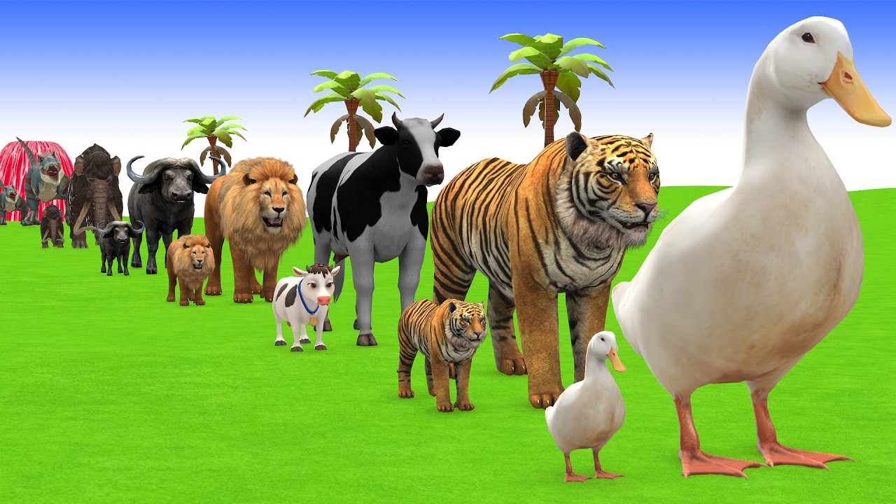Long Slide Game with Cow Elephant Gorilla Hippopotamus Tiger 3d Animal Game Funny 3d Animals