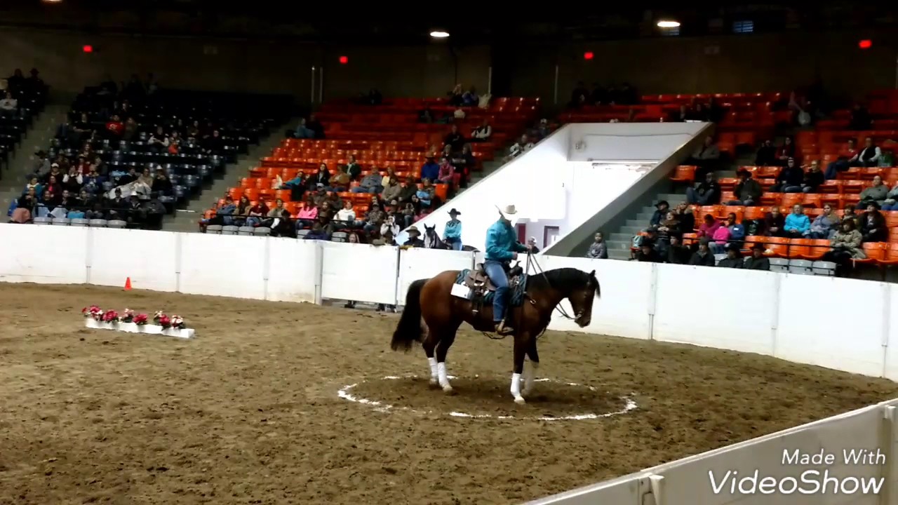 Luke Gingerich and CJ Rio Zan Bar Gun 2017 Equine Affaire VHRC Reserve Champions