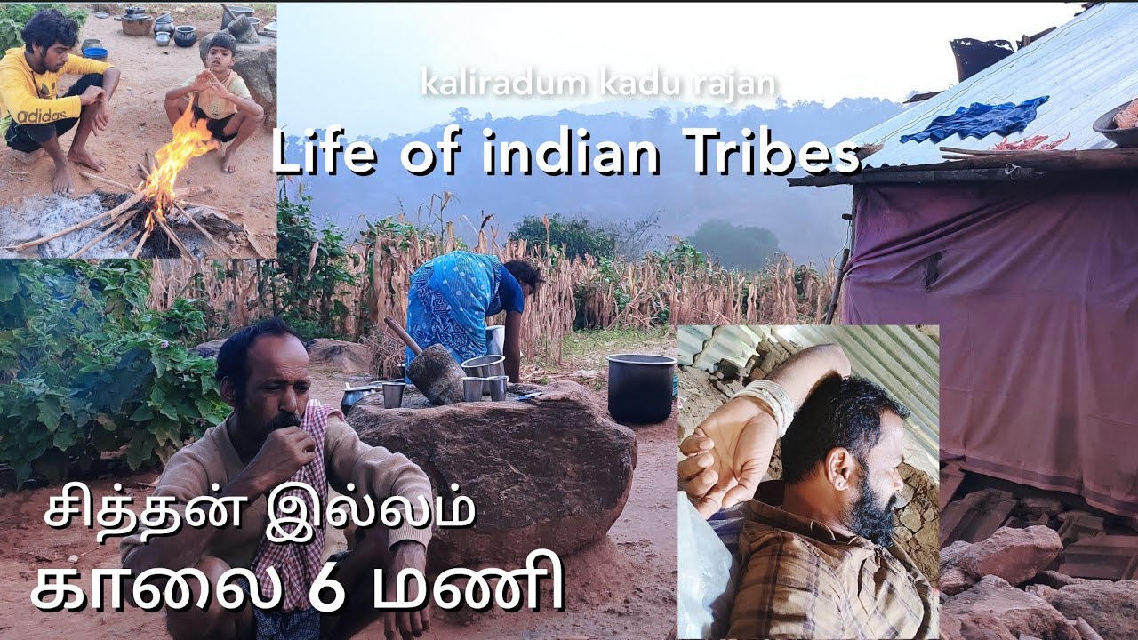 வனமே வீடு!வானமேகூரை! சித்தன் சடையம்மாள் ஓர் உயர்ந்த நாகரீகம்! இந்த நாட்டின் கடைசிவீடு!|TAMIL TRIBES