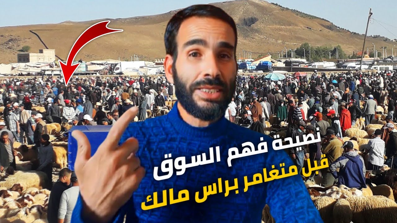 ميكدبوش عليك! هاد هي الحقيقة ديل البيع والشراء في عالم المواشي، سمع مني خيبرة ديال سنين في الاسواق,؟