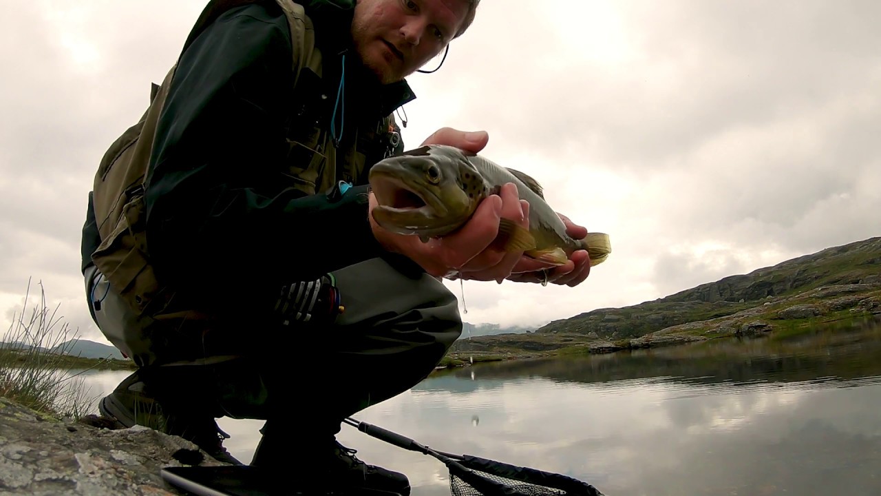My flyfishing, dryflies in the Norwegian mountains - fluefiske Etnefjellene