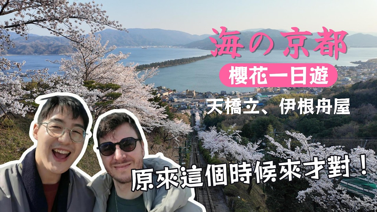 真的美到落淚｜在伊根舟屋餵海鷗｜獨佔滿開櫻花下的天橋立日落｜沙洲漫步看夕陽超浪漫｜海之京都必看攻略｜京都郊區此生必去的景點還不用人擠人！