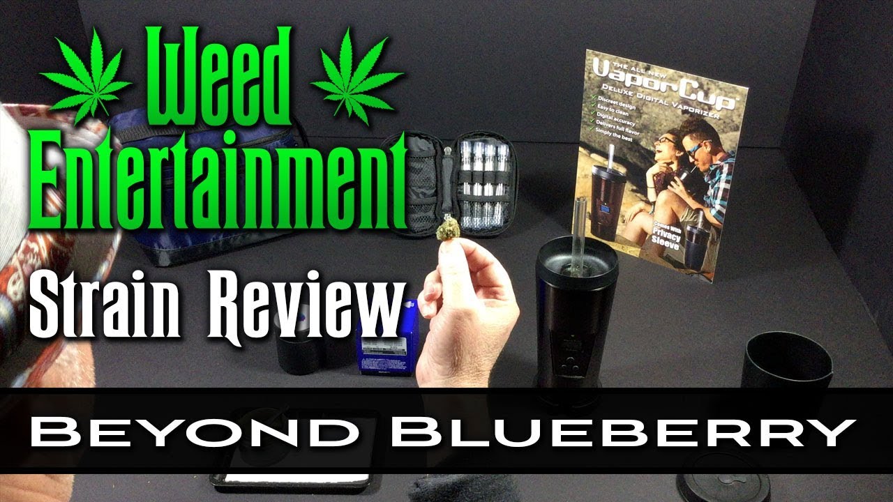 Beyond Blueberry - Indica Hybrid - by Wonderbrett - Strain Review - from Dr. Greenthumb's, Sylmar Ca