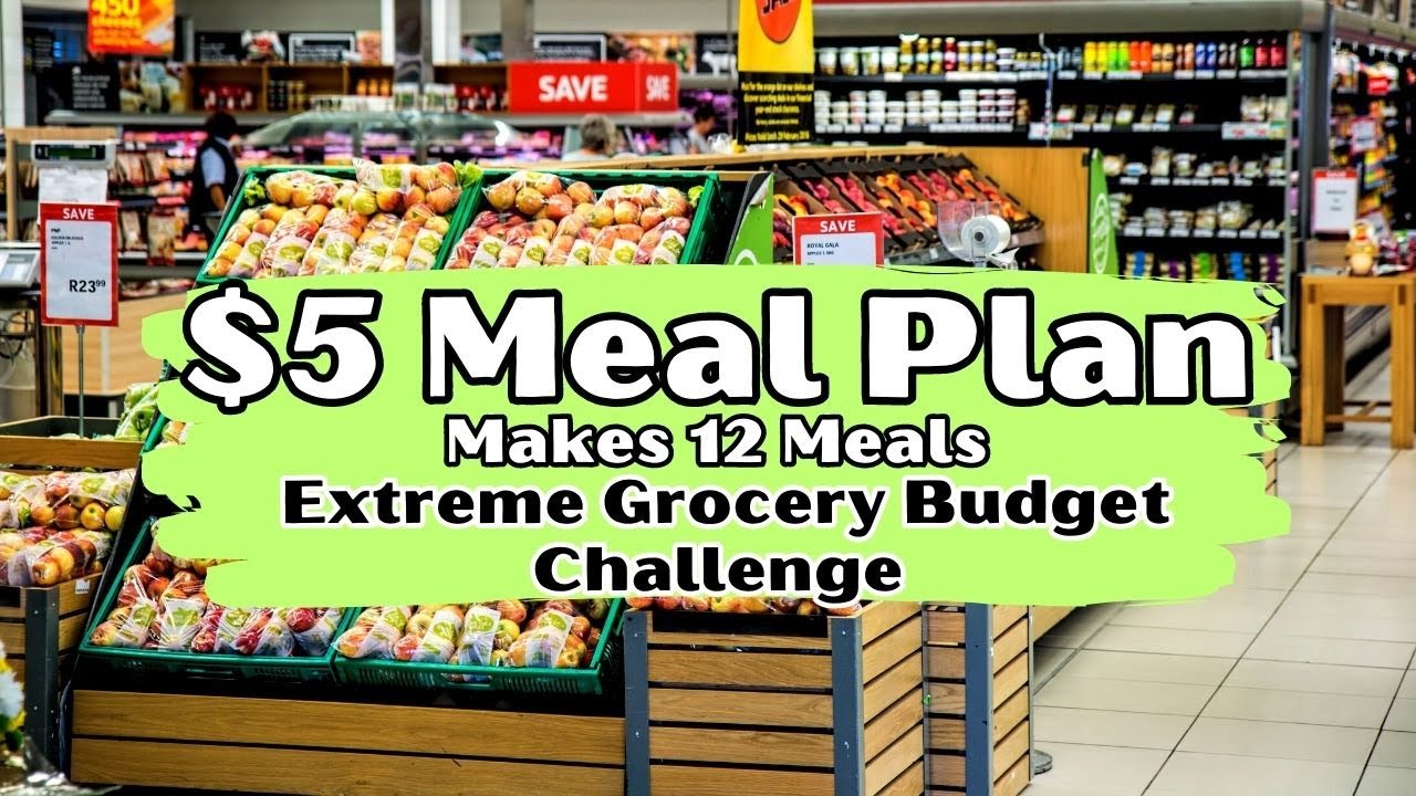 $5 EXTREME EMERGENCY BUDGET CHALLENGE | $5 Meal Plan | Lunch & Dinner | Makes 12 Meals