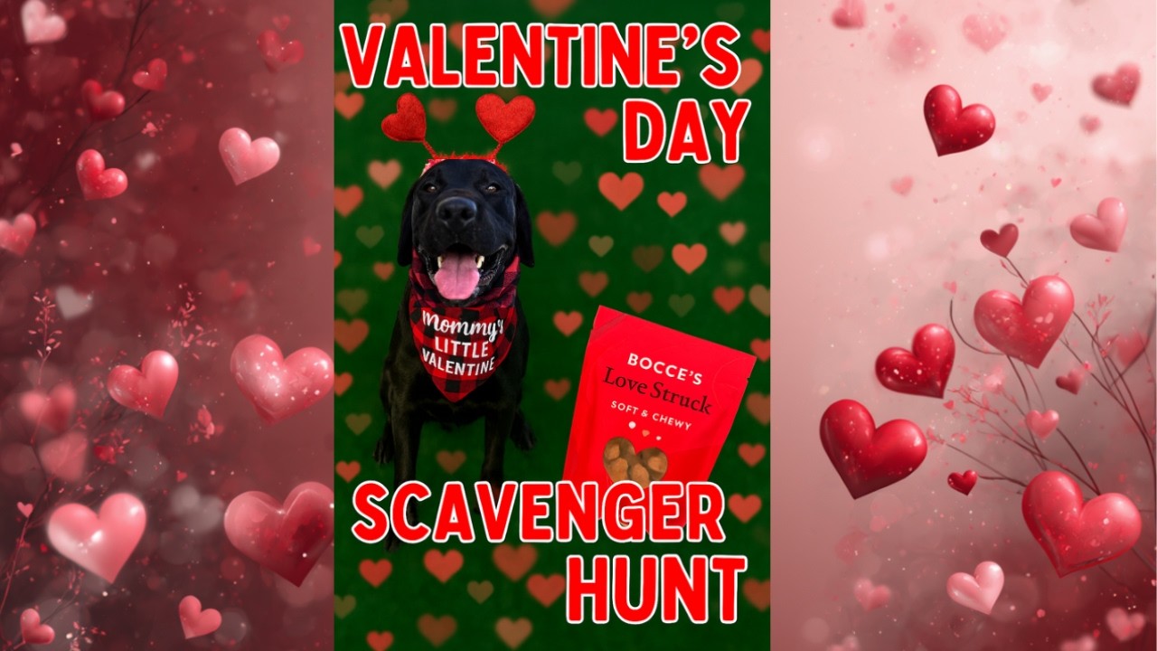 THE *BEST* LABRADOR VALENTINE’S DAY SCAVENGER HUNT! 💘 (*20 TENNIS BALLS!*)