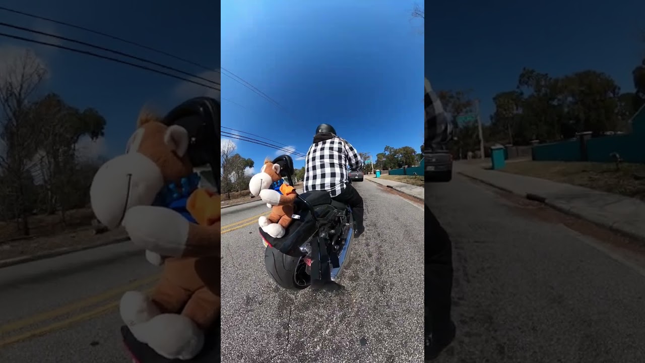 2026-02-12 Joy ride to Salt Springs and back