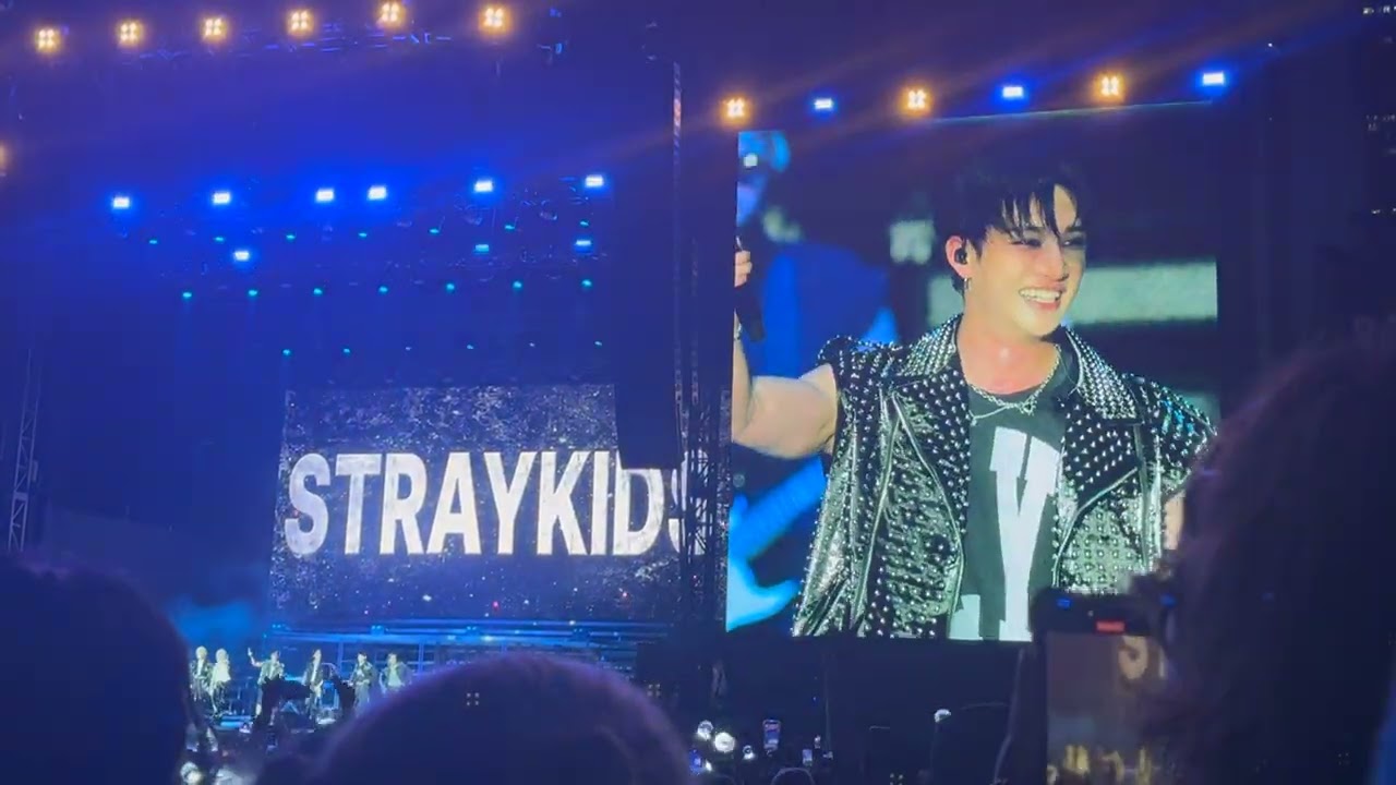 lollapalooza | stray kids | chicago, il | 2024 | concert vlog