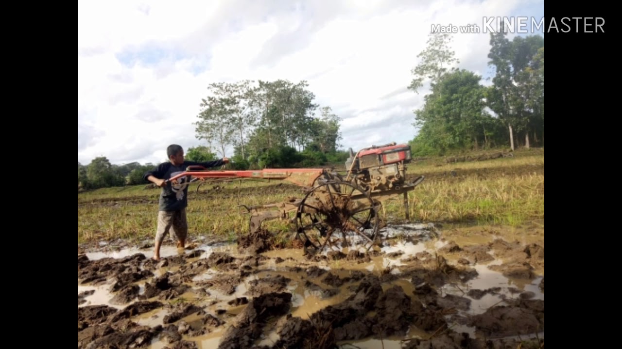 SUASANA PERTANIA DI KAB.BULUKUMBA