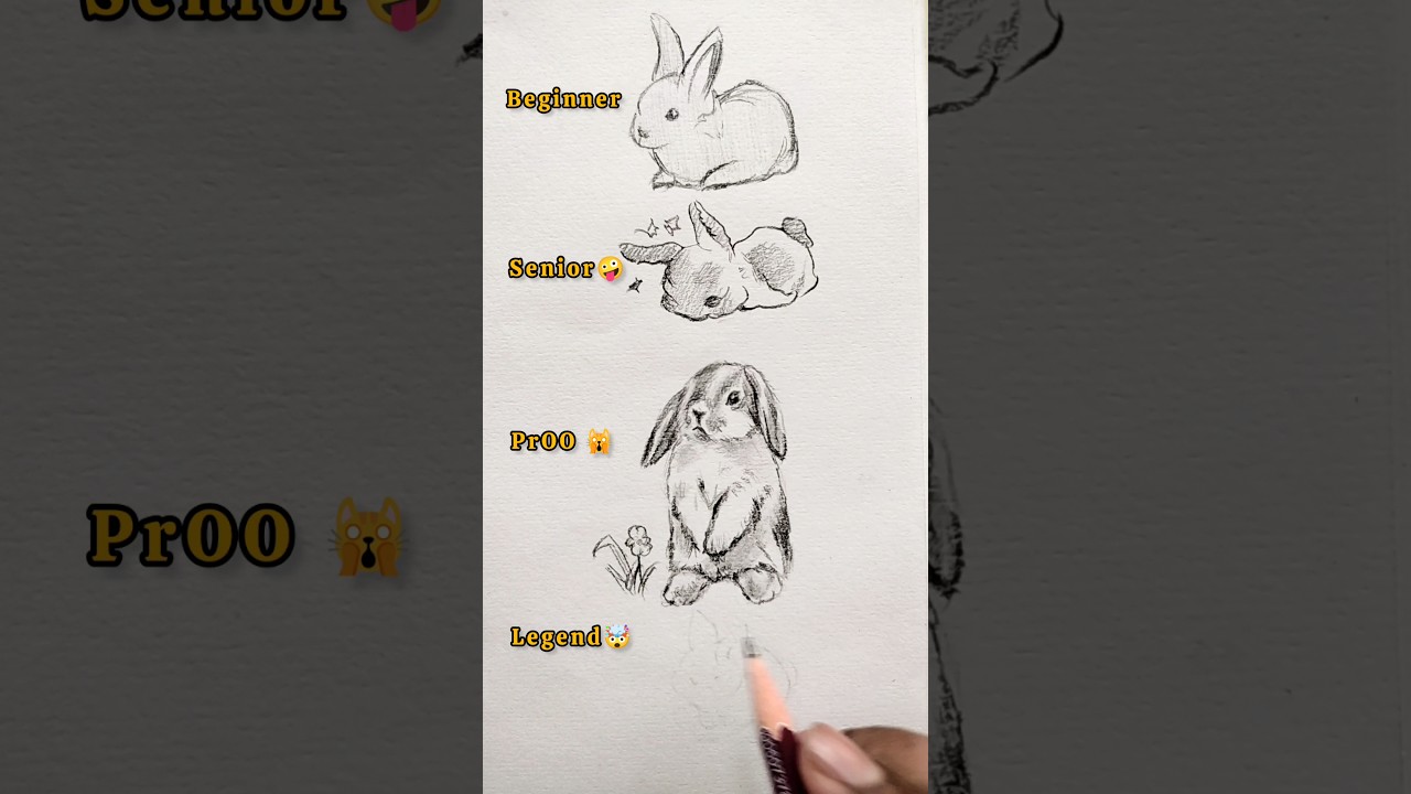 How to Draw a Rabbit 🐰 Bunny Easy Drawing #art #drawing #shorts
