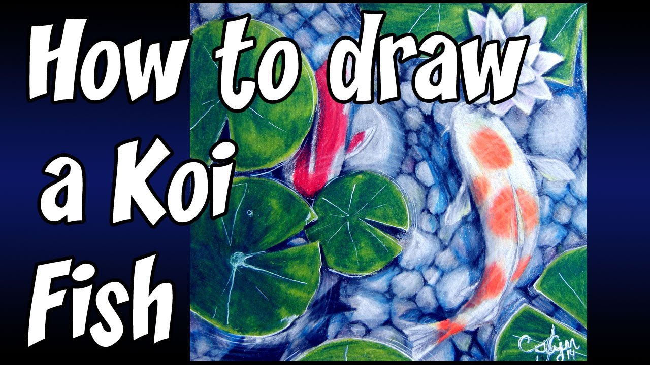 How to draw a Koi Fish