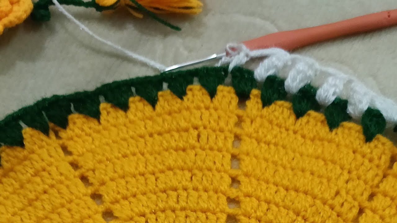Crafts By Rani is live Crochet costar 🤔✨🎢🧶