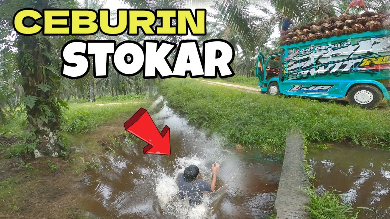 KETERLALUAN..!! SOPIR CEBURIN STOKAR KE PARIT