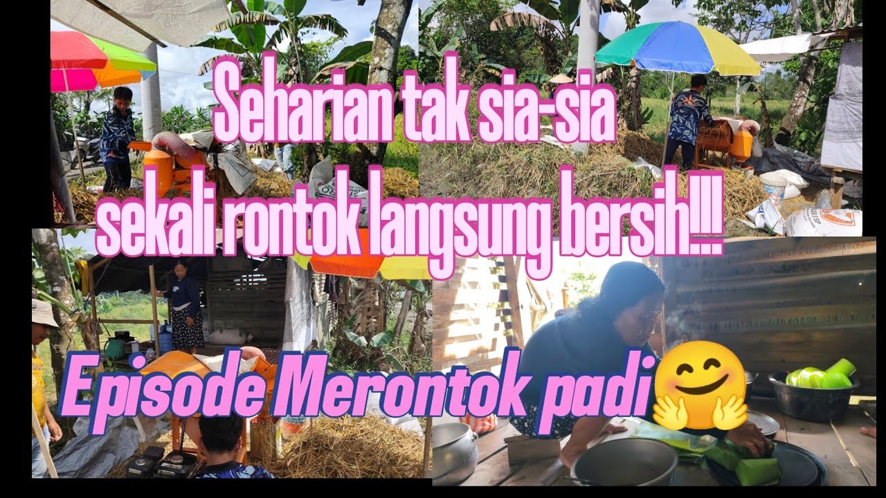 Kami dan Mesin Perontok Padi yang cepat dan bersih!!!